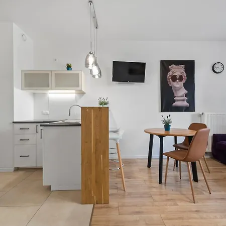 Comfy Studio. Center. Апартаменты *