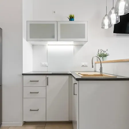 Appartamento Comfy Studio. Center. *